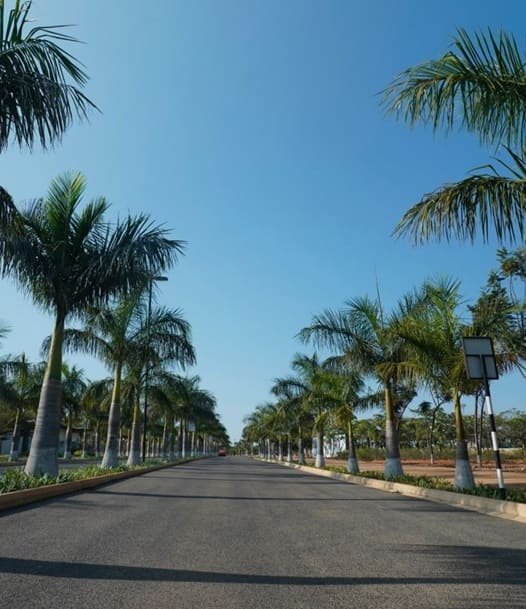 overview image Embassy Springs Plots